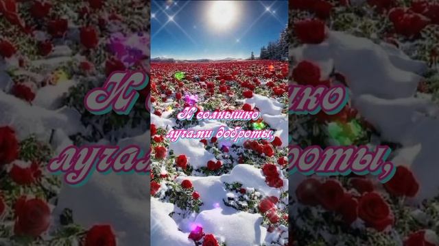 Доброе утро