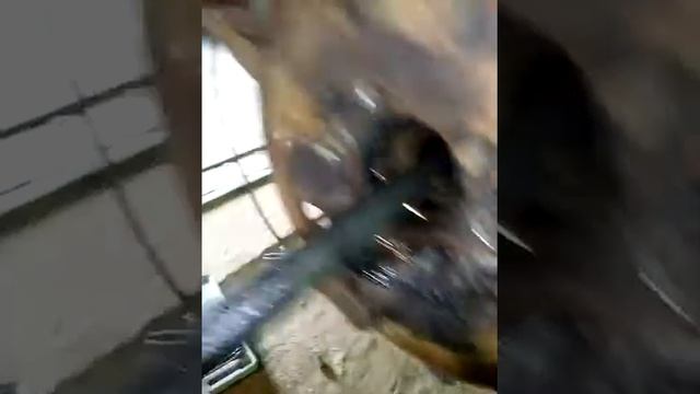 Сняли заднюю полуось на вис классика