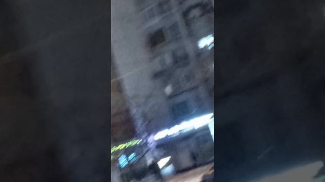 scene_output.mp4