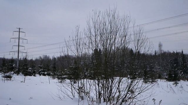 Снегурочка Сектор газа