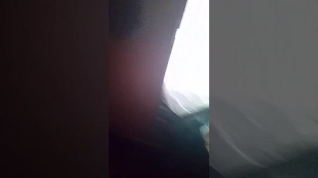 19 декабря 2024 г.