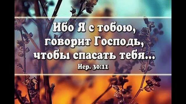 Хоть годами я стар и седой