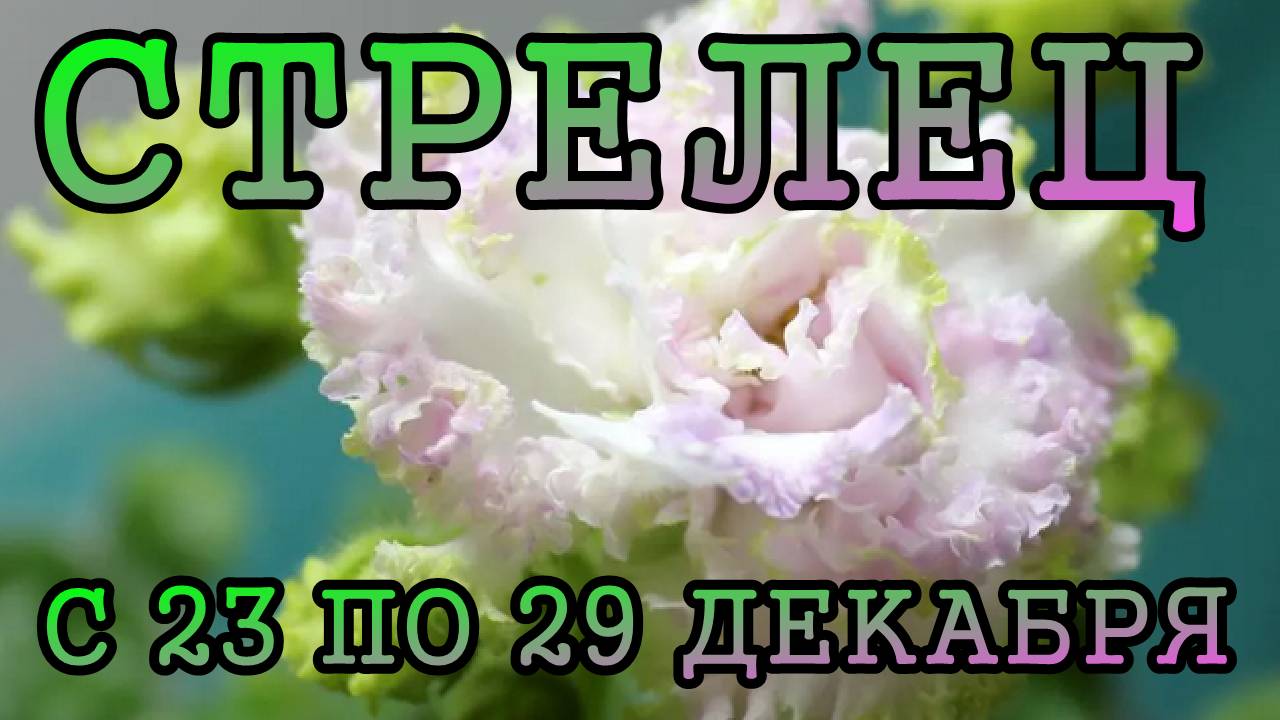 СТРЕЛЕЦ таро прогноз на неделю с 23 по 29 ДЕКАБРЯ 2024 года.