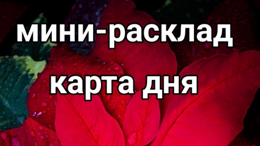 20-12-2024 что нужно знать на сегодняшний день