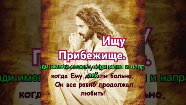Ищу Прибежище.