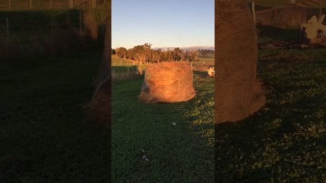 Smile because they're filming you (691)