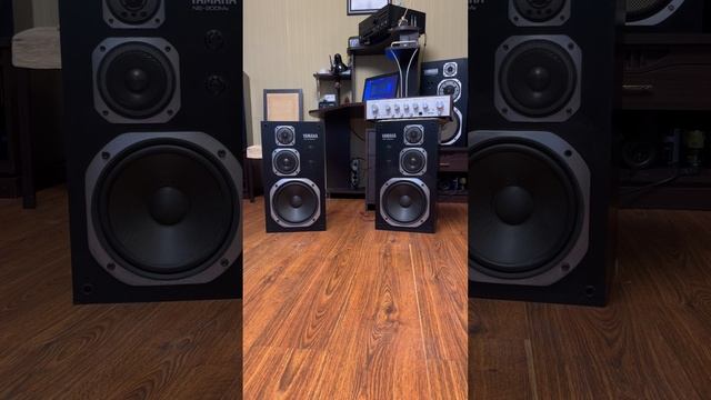 Бриг 001 & Yamaha NS-200MA ПРОДАНЫ