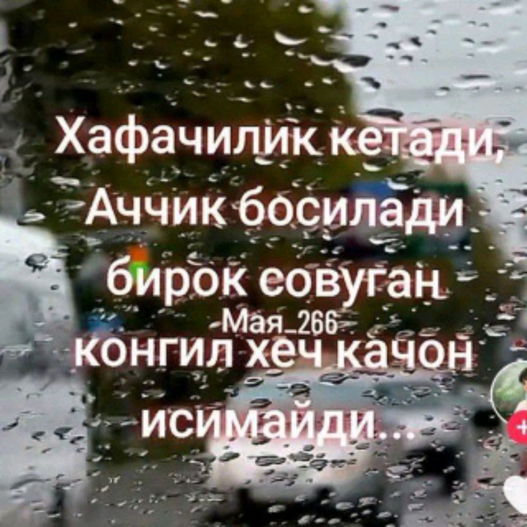 МУСОФИР