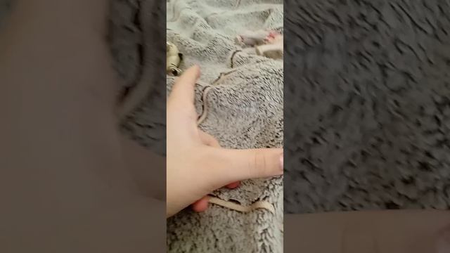 1000009131.mp4