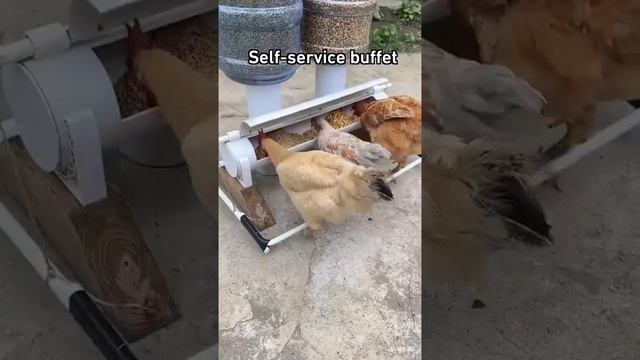 У нас самообслуживание 🐓