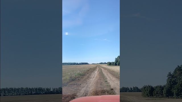 Поездка на природу)