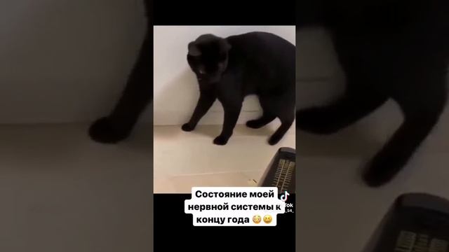 1000120142.mp4