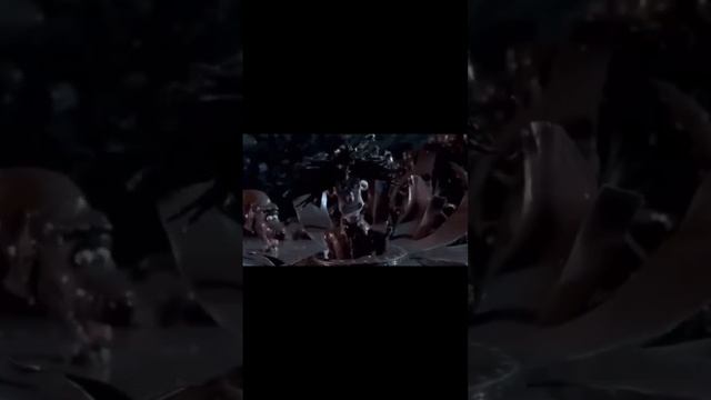 Снова давай рычи !#мемы #мемы_тикток