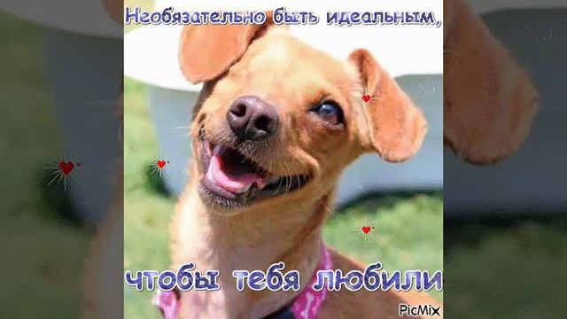 Милая видео