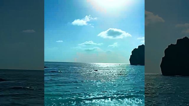 У черного моря