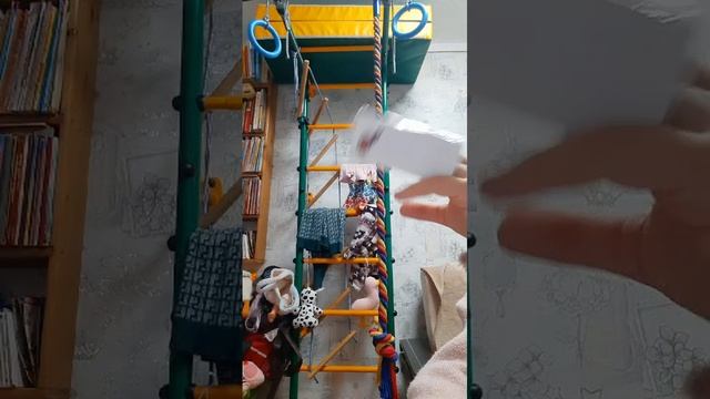 VID-20241220-WA0025.mp4
