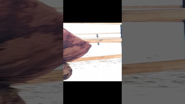 в конной усадьбе 3 часть