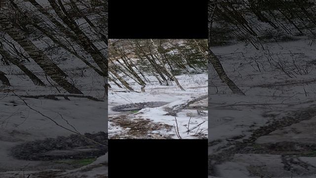 эндуро ,падение, Авантис