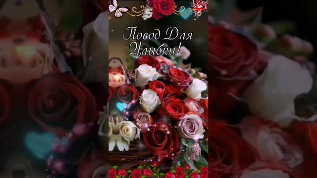 Video.Guru_20241220_091224482.mp4