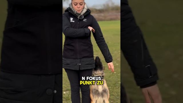 Обучалки