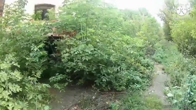 усадьба Алëхеных