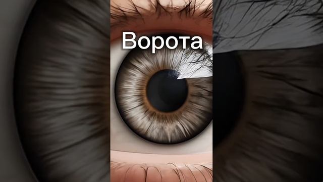 упражнения, которые помогут восстановить зрение