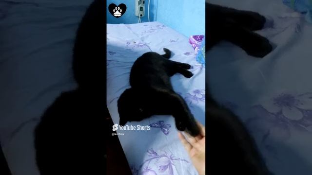 Кусь-кусь, с двух сторон мне трудно кусать...