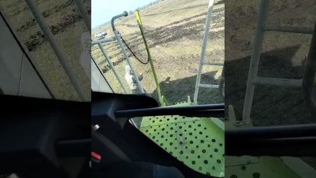 1000008755.mp4