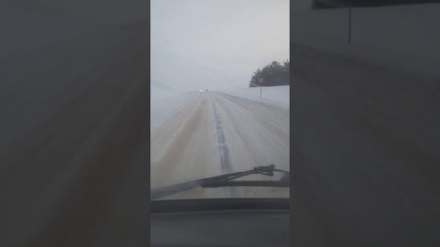 20-12-2024полем полем