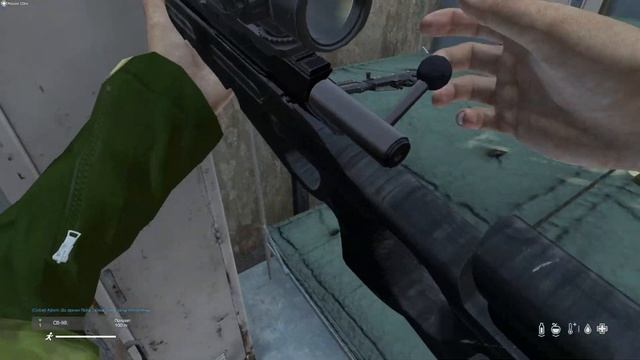 DAYZ. Сервер Paranoia