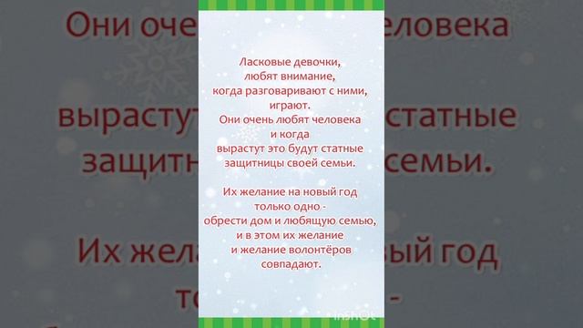 Щенки девочки Зоя и Анфиса хотят обрести дом и любящую семью!