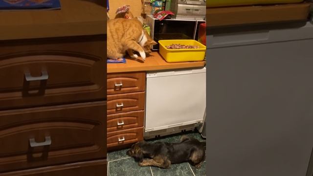 1000069015.mp4