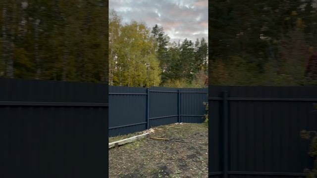 zabor-zabory57.ru_6506