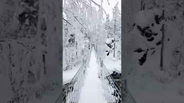 А снежок лохматый кружит.