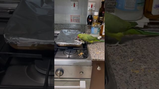 Smile because they're filming you (701)