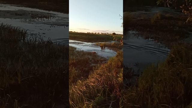 07.09.24Арни работа