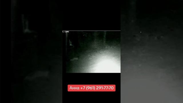 1000476187.mp4
