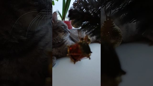 новогоднее настроение 🎇
