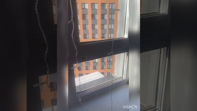 1000075869.mp4