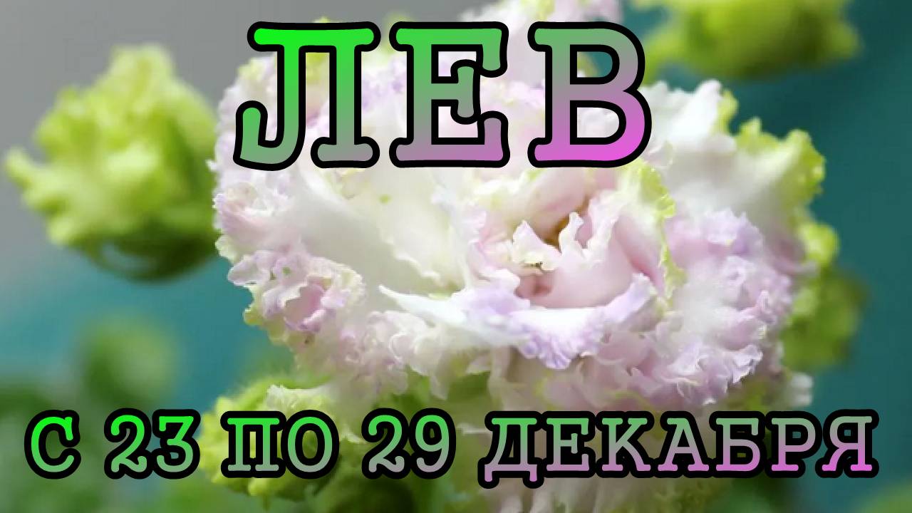 ЛЕВ таро прогноз на неделю с 23 по 29 ДЕКАБРЯ 2024 года.