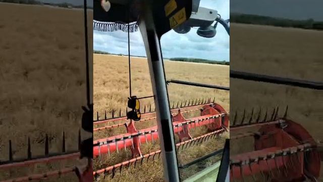 1000008954.mp4