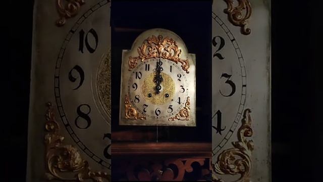 VID-20230910-WA0000.mp4