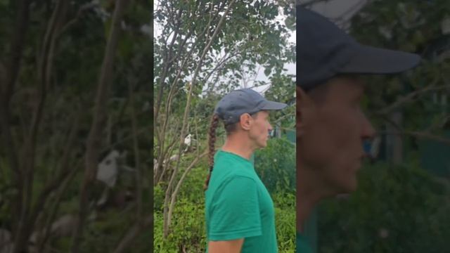 кредит.mp4