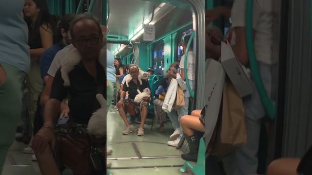 Smile because they're filming you (698)