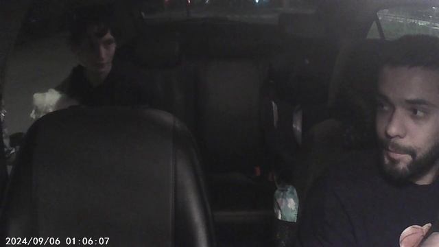 не указали опцию перевоз домашнего животного часть 1