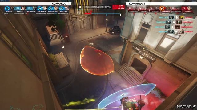 Overwatch Team Killing /Командное убийство# 2