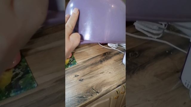 petal_20241204_132809.mp4