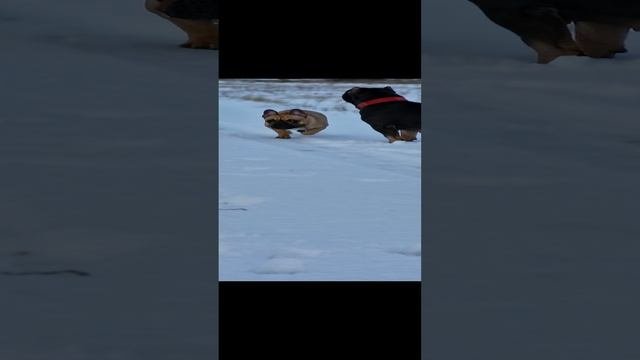 1000090499.mp4