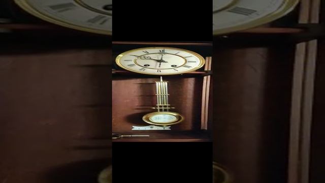 VID-20221112-WA0000.mp4