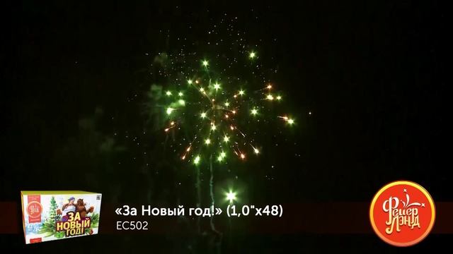 БС За новый год EC502